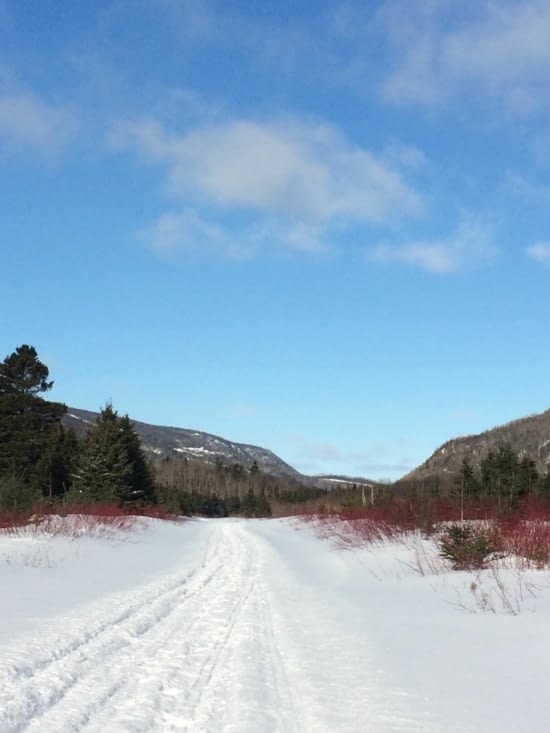 Je découvre le ski de fond : j'adore !