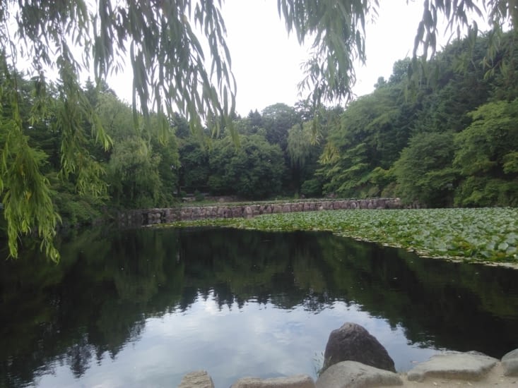 Le petit lac du campus