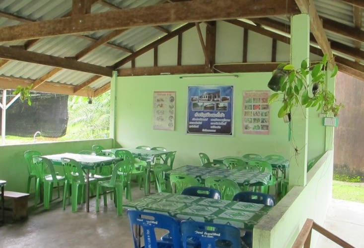 La cantine de l'école