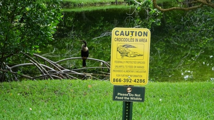 Fairchild Tropical Botanical Garden