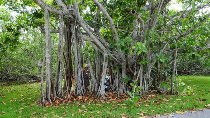 Fairchild Tropical Botanical Garden