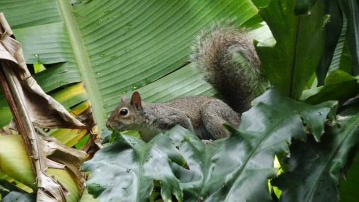 Fairchild Tropical Botanical Garden