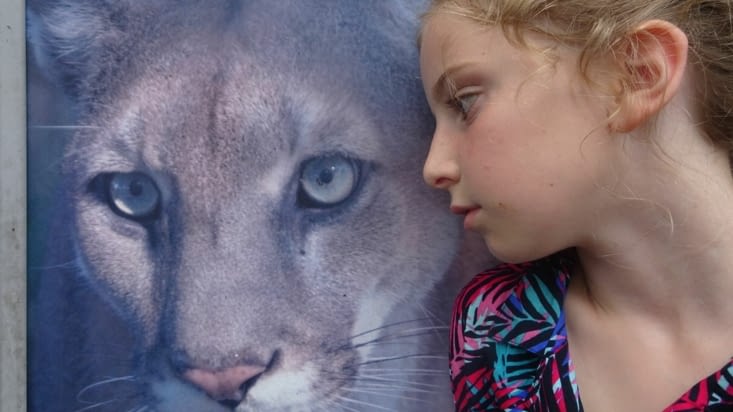 Kirby Storter roadside park