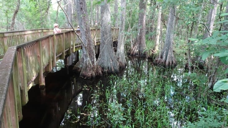Kirby Storter roadside park