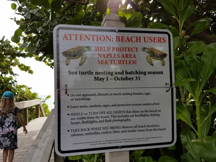 Il y a des nids de tortues protégés partout sur les plages