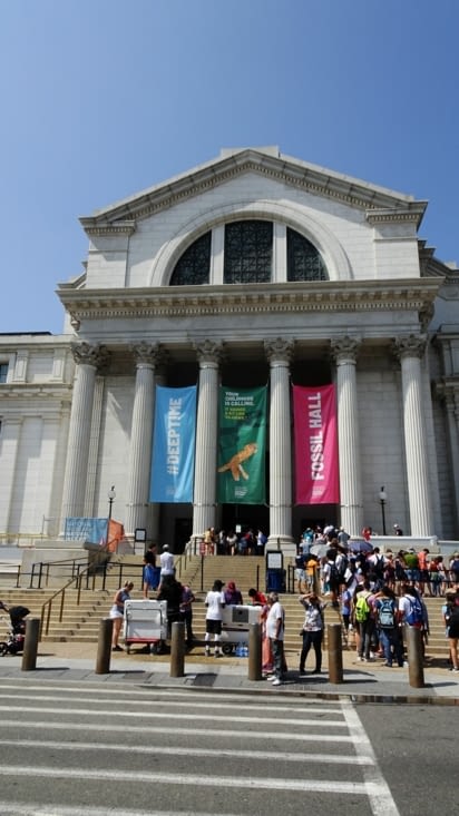 Musée d'histoire naturelle