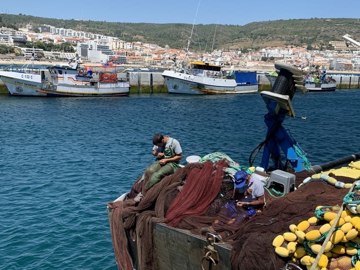 Nous sommes à quai au milieu des pêcheurs
