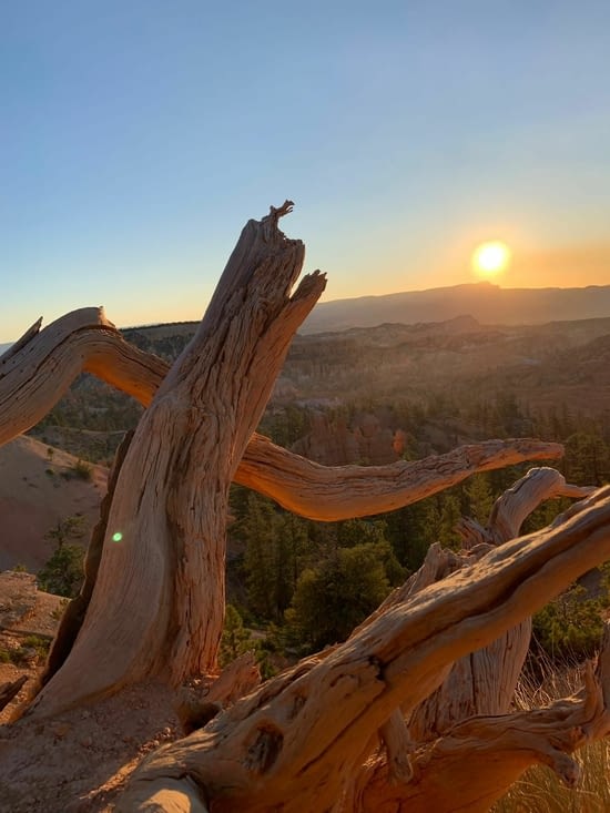 Sunrise à Bryce Canyon