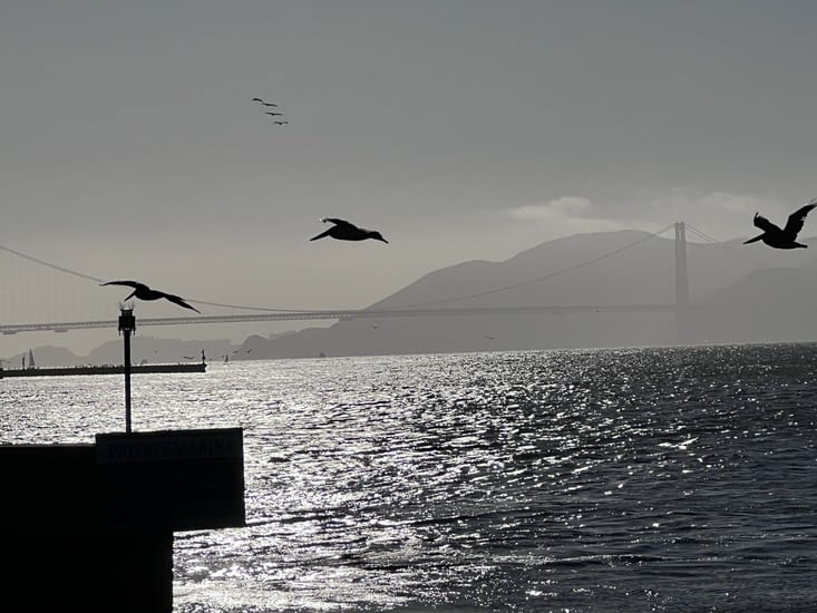 Vue sur le Golden Gate Bridge depuis le Pier 39  - San Francisco