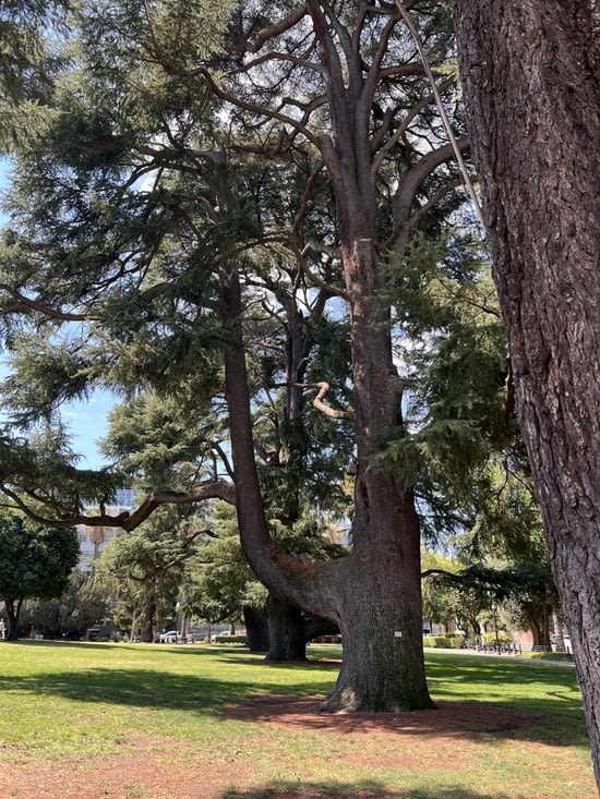 The Capitol - Jardin