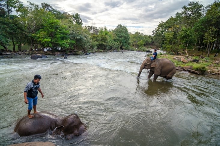 Le moment de la baignade