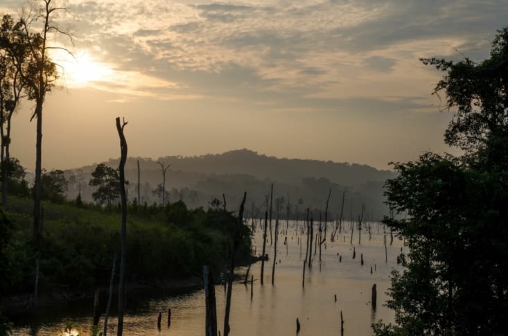Coucher de soleil sur la forêt inondée de Thalang