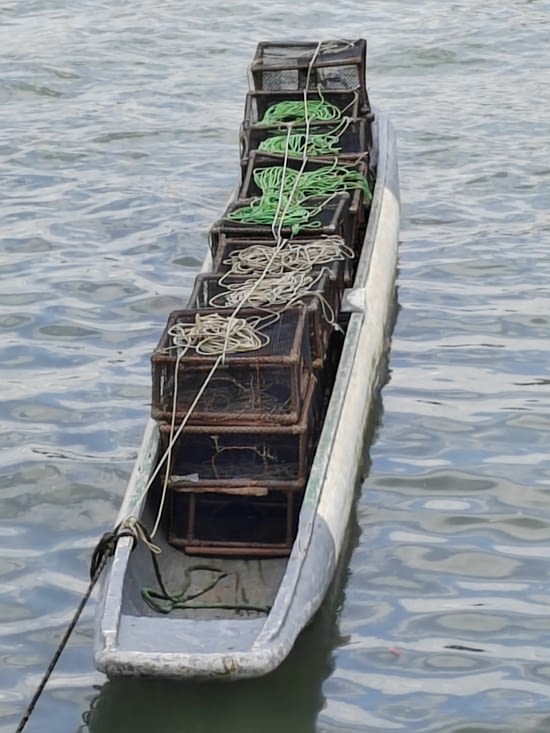 Barque de pêcheur à Botelho