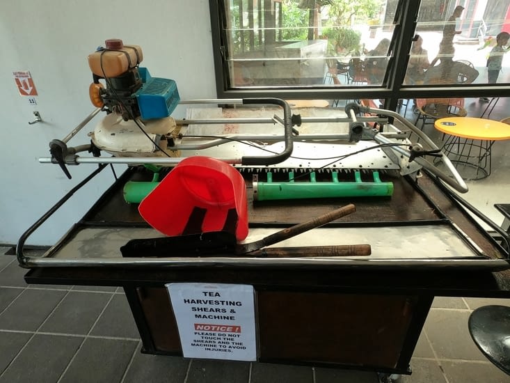 Un grand taille haie