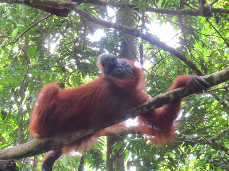 Après 1h15 de marche, nous sommes chanceux