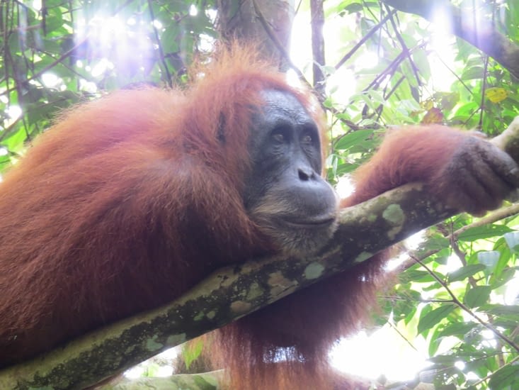 Surprenant de les voir d’aussi près