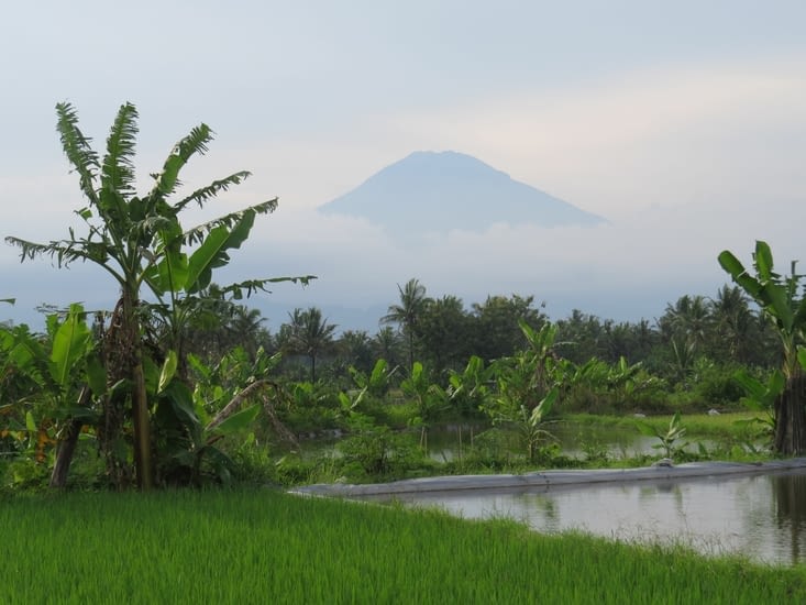 Sur le retour une vue sur le Volcan Merapi