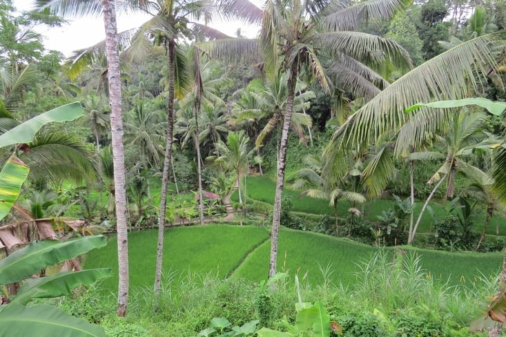 Plus authentique sans trop de monde