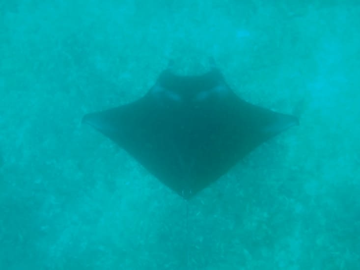 Eau un peu trouble dommage et eau profonde pour les suivre