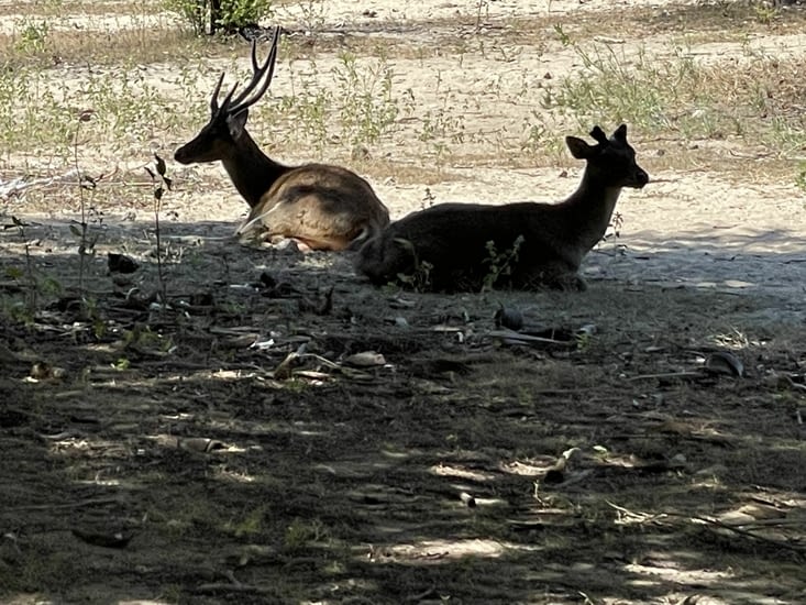 Un futur repas peut-etre