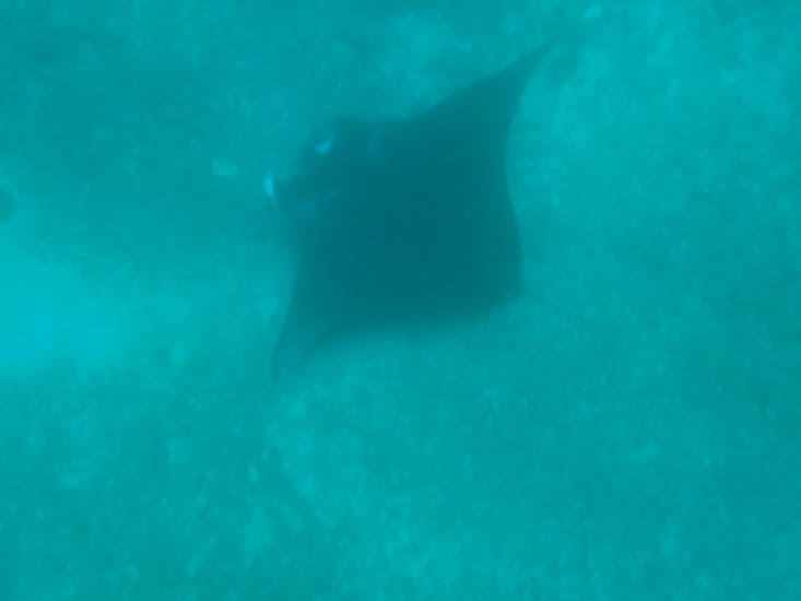 Une deuxième et puis c'est tout