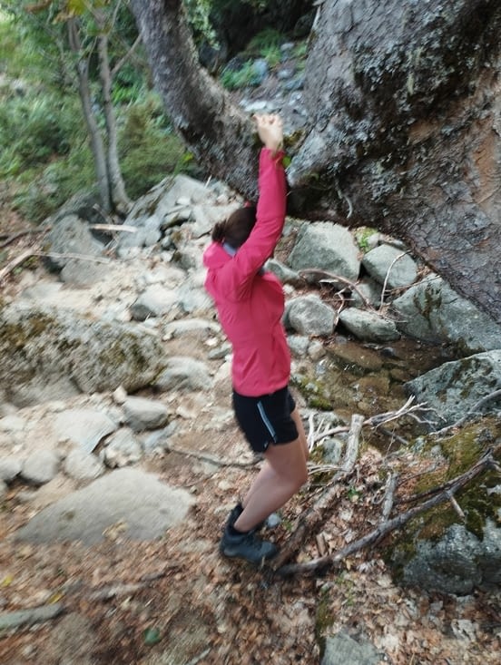 Etirement de la sciatique