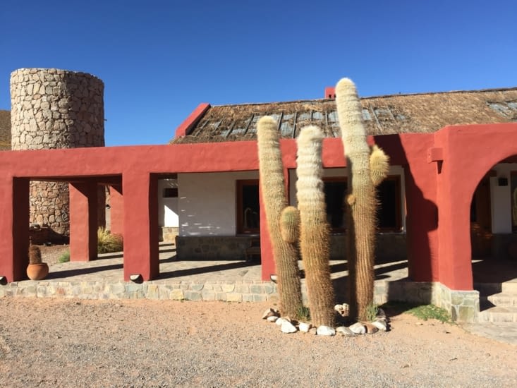 Hotel des Cactus très confortable en plein désert