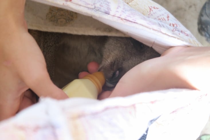 C'est l'heure du biberon