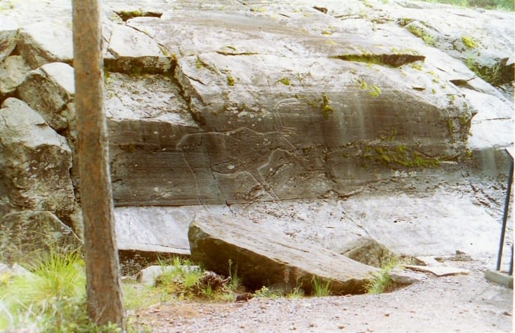 Gravure rupestre d'un renne à Bølareinen