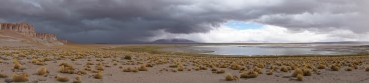 Salar de Tara
