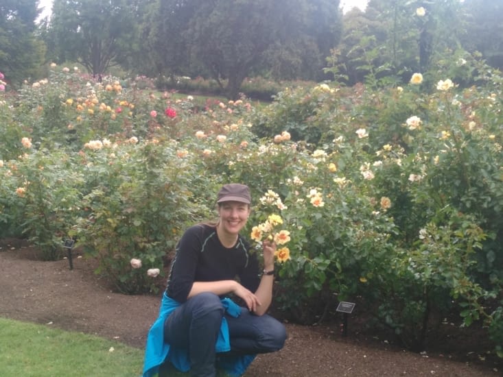 Jardin des roses