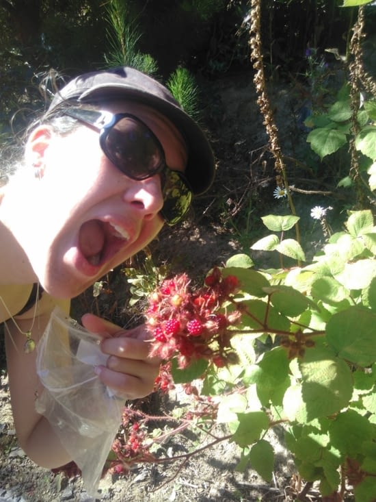 Framboises chinoises