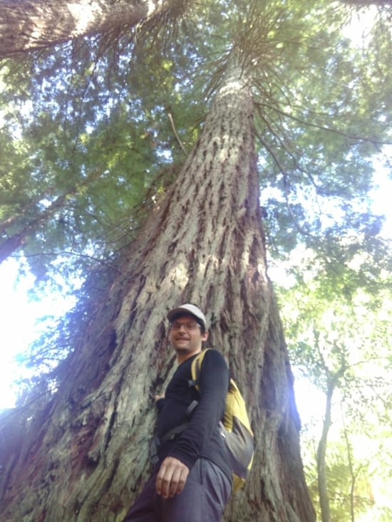 Sequoia GEANT