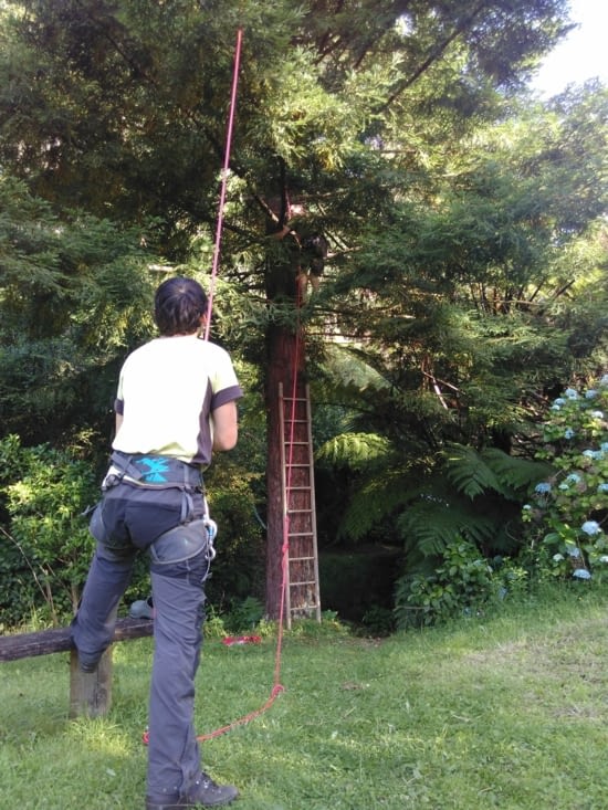 Maxime qui assure le grimpeur