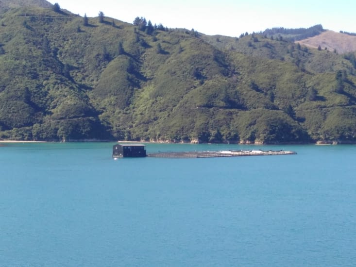 Élevage de poissons