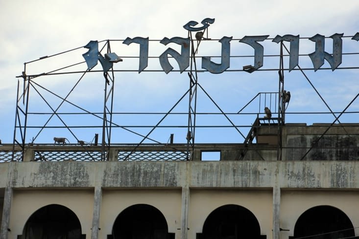 On trouve des singes vraiment partout