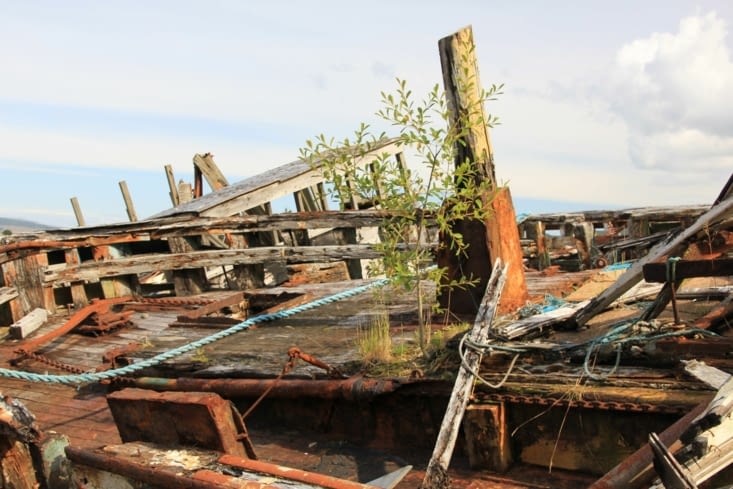 L'arbre et le navire
