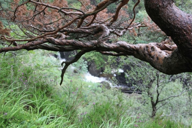 Randonnée humide dans le Glen Nevis