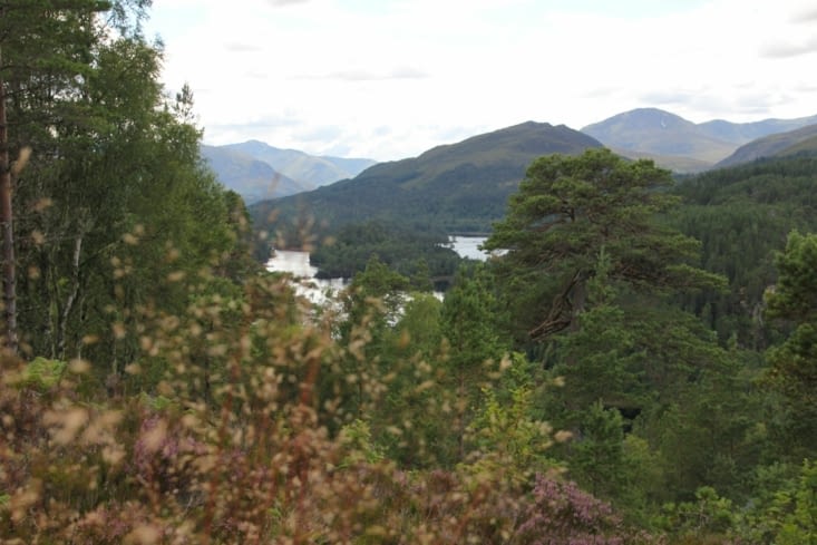 Ballade dans le Glen Affric