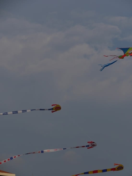 Amateurs de cerfs-volants