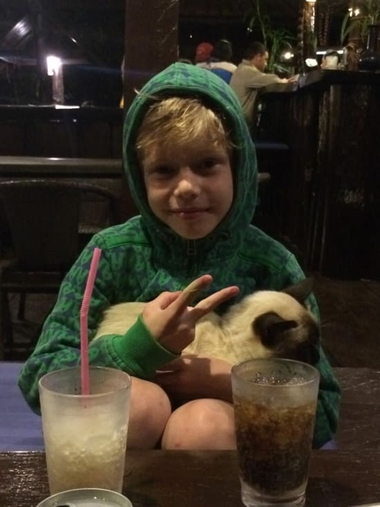 C'était avant qu'il le griffe au visage,