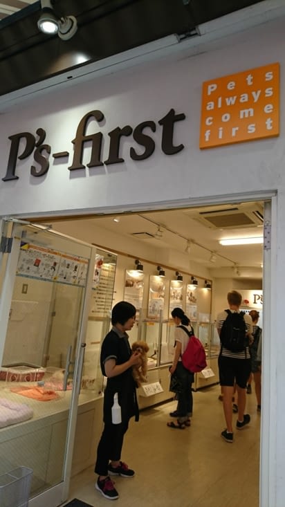 Leur passion pour les chats et les chiens...