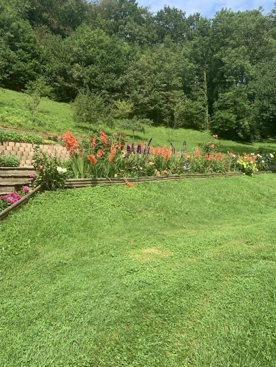 Au programme jardinage,peinture et bonne cuisine avant de prendre la route en Van