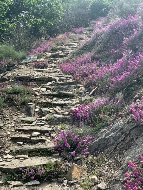 Joli petit chemin montant à La Chapelle