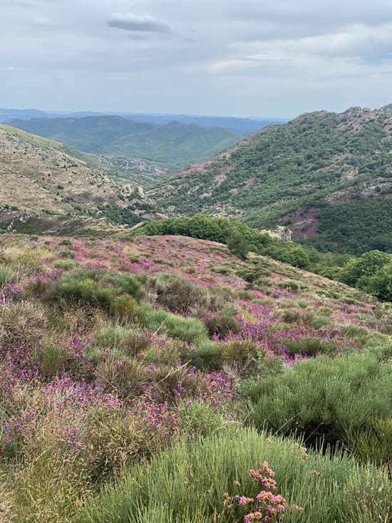 Un régal pour les 👀