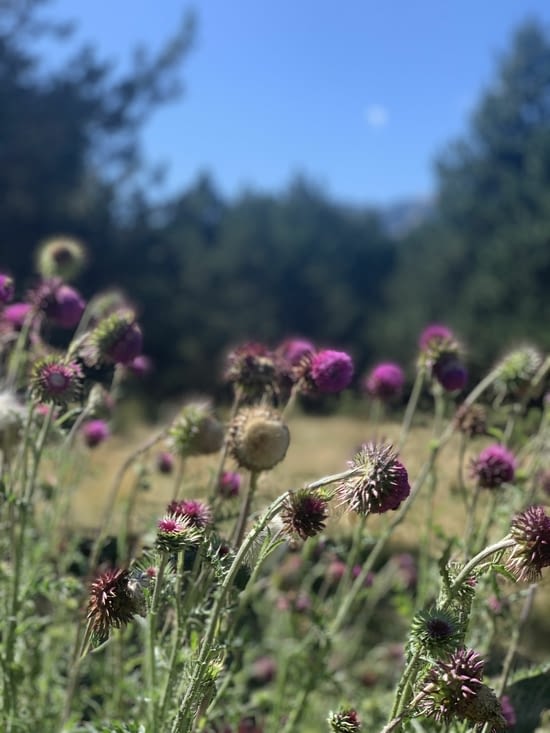 Qq courses et on repars le chemin est super beau