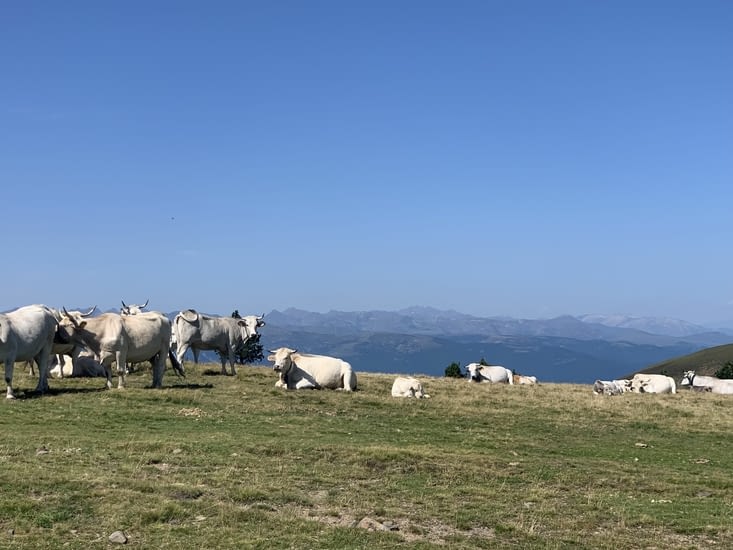 Départ du parking en haut du col la montée est tranquille au début