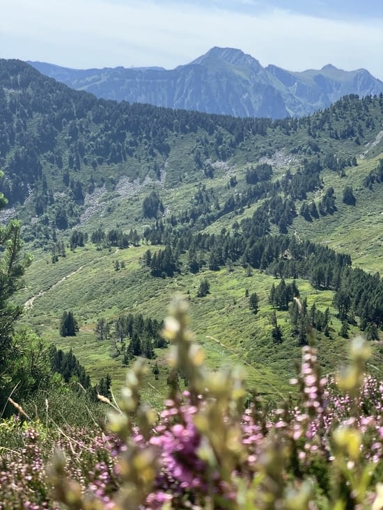 Un panorama de dingue