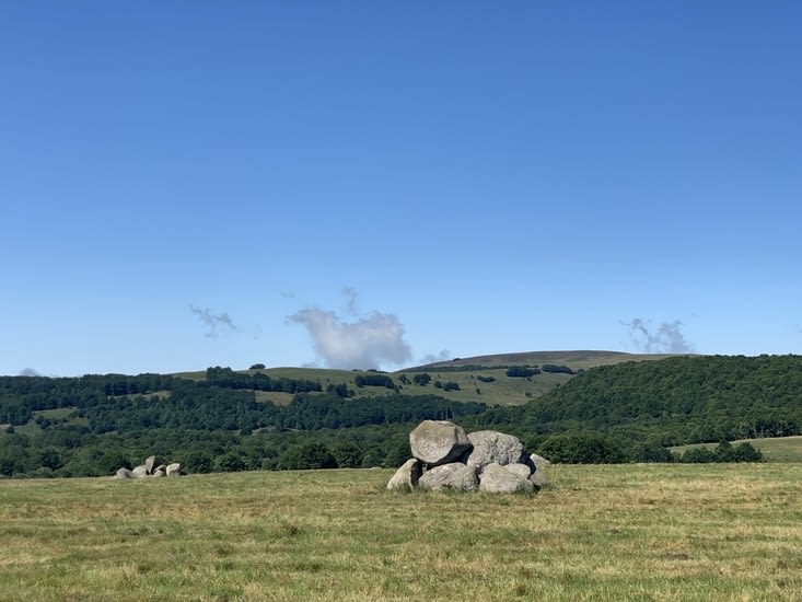 J adore ces champs avec les gros cailloux et les vaches