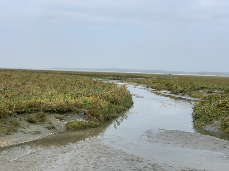 Départ du parking de la Maye avec un guide pour 2h30 de découverte de la Baie